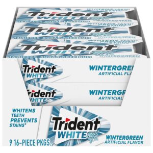 Trident White Wintergreen Gum 9ct