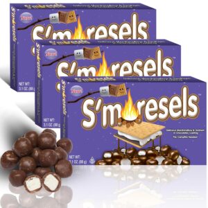 Cookie Dough Bites Smoresels 3.1oz Theater Box 12ct