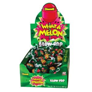 Charms What A Melon Blow Pop 48ct